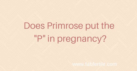 Does Primrose put the “P” in Pregnancy?