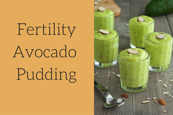 Fertility Avocado Pudding