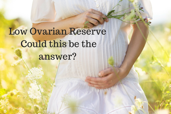 Low Ovarian Reserve.  Could this be the answer?