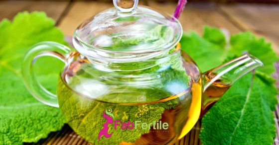 Fertility Tea: The Common Herbs