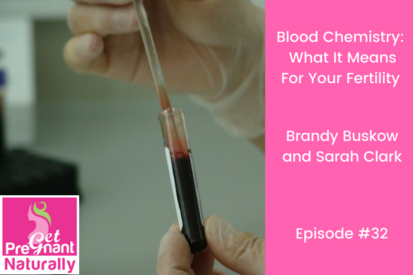 Blood Chemistry:  What It Means For Your Fertility