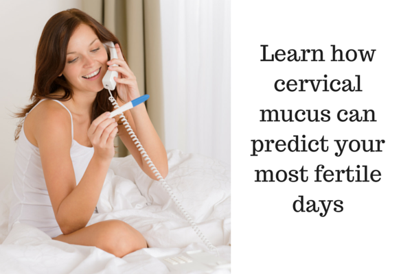Learn how cervical mucus can predict your most fertile days